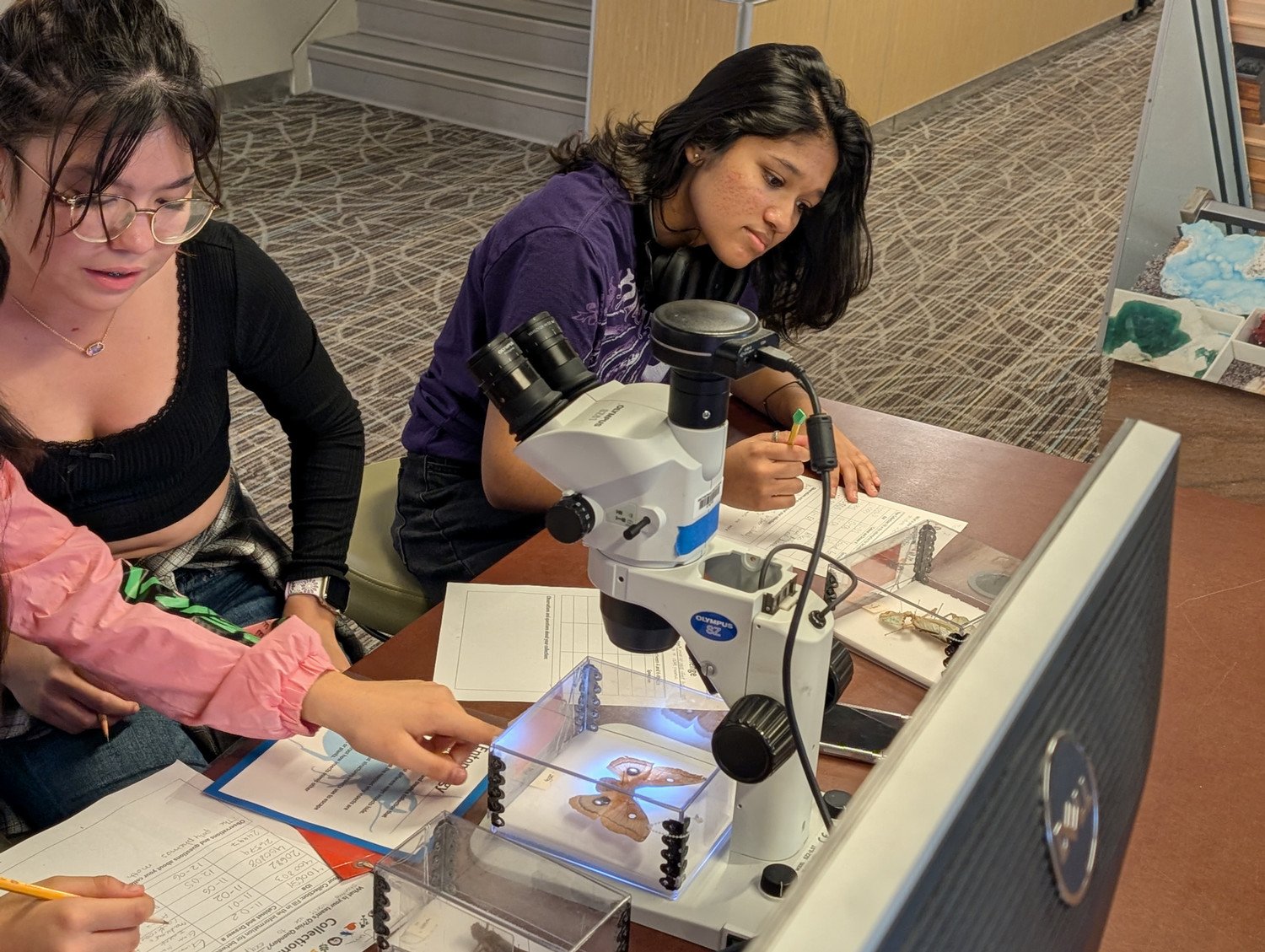 Gifted students participating in a lab at the Museum of Natural History in D.C.