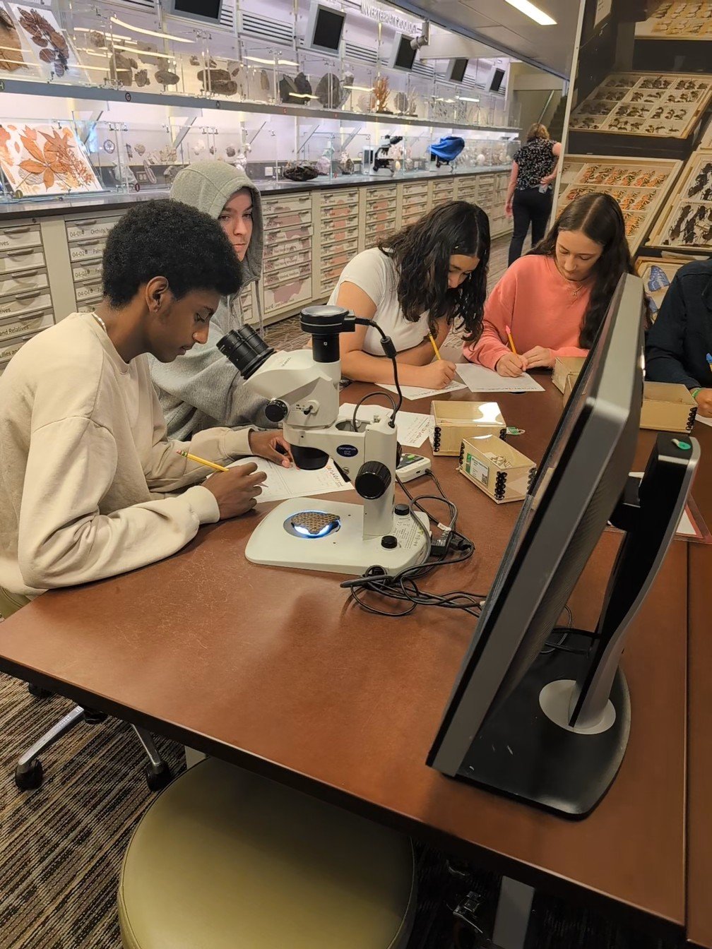 Gifted students participating in a lab at the Museum of Natural History in D.C.