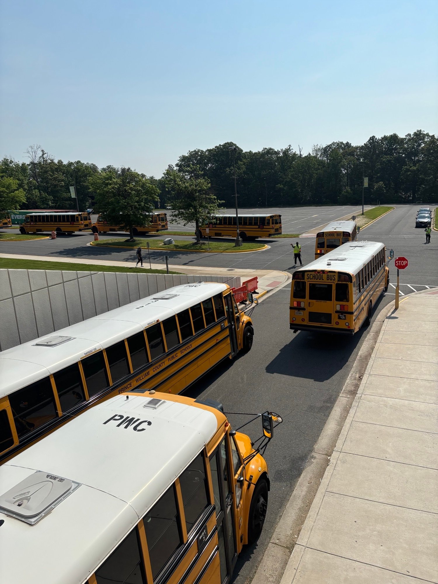 A row of yellow school buses parked in a lot on a sunny day, with a few people walking nearby.